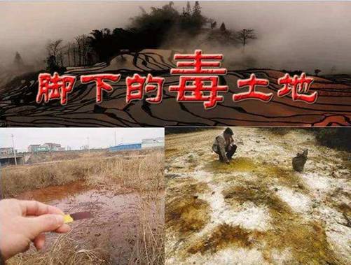 土壤樣品采集開始啦 安國中藥材(中國藥典品種)質(zhì)量可追溯項(xiàng)目( 2020 ) 土壤樣品采集開始啦 安國中藥材(中國藥典品種)質(zhì)量可追溯項(xiàng)目( 2020 )